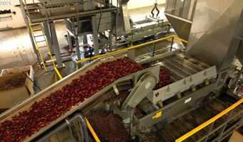 54981 MORRISON Rd, Bandon, OR 97411