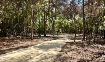 SW 20th St, Bell, FL 32619