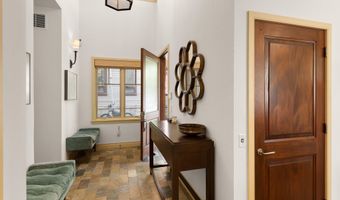 509 W Hopkins Ave, Aspen, CO 81611