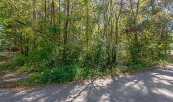 Barnes Rd, Andrews, SC 29510