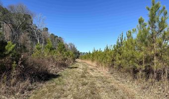 Tract A Holliman Rd, Greeleyville, SC 29056