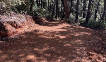 Agness-Illahe Rd, Agness, OR 97406