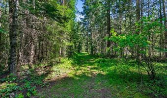 28801 N LEWELLEN CREEK Rd, Athol, ID 83801
