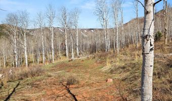 Tbd Spinnaker Lane, Basalt, CO 81621