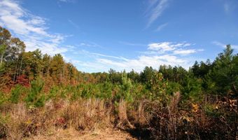 RIDGE RD lot 1, Arvonia, VA 23004