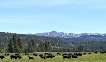 County Road 199, Alturas, CA 96101