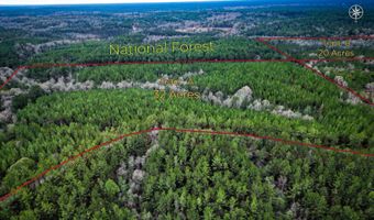 259 Forest Lake Rd, Beaumont, MS 39423