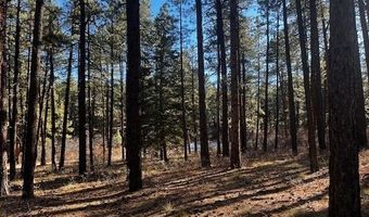 57 Deer Trl, Bayfield, CO 81122