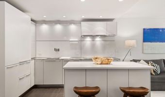 800 E Hopkins Ave A-3, Aspen, CO 81611