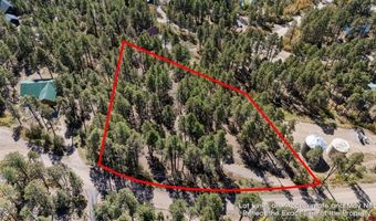 138 Green Ridge Dr, Bayfield, CO 81122