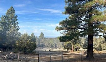 1000 McKenney Dr, Alturas, CA 96101