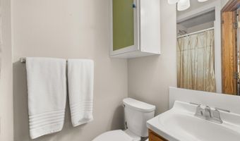 125 E Hyman Ave 1A, Aspen, CO 81611