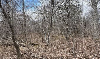 011-010 2 Monument Rd, Amity, ME 04471