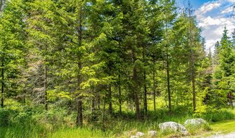 695 Latigo Ln, Bigfork, MT 59911