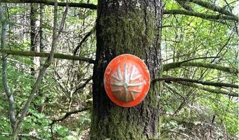 Nowakowski Rd, Banks, OR 97106
