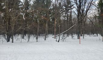 L28 And L29 S Badger Lane, Arkdale, WI 54613