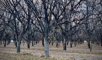 Gillett Road, Anthony, NM 88021