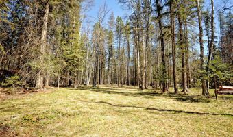 518 Eastman Dr, Bigfork, MT 59911