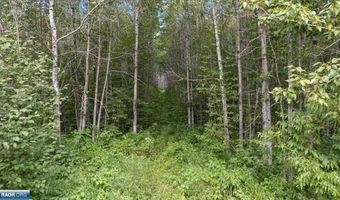 Samuelson Rd, Angora, MN 55703