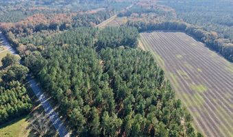 TBD Binnicker Bridge Road, Bamberg, SC 29003