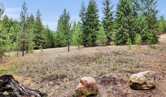 1571 Stone, Blanchard, ID 83804