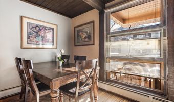 600 E Main St 207, Aspen, CO 81611