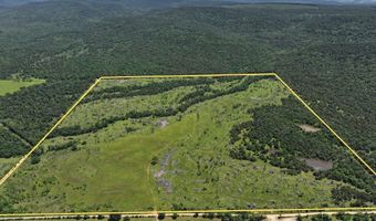001 N 4220 Rd, Antlers, OK 74536