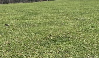 2174 County Road A-425, Ava, MO 65608