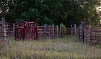 100 Acres Harmony Church Rd, Andalusia, AL 36421