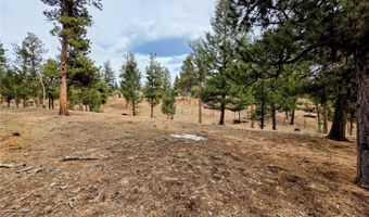 64 Elk Horn Ct, Bailey, CO 80421