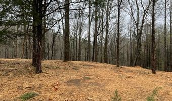 Lot 2 Willow Grove Hwy, Allons, TN 38541