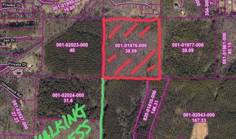 38 W SARDIS Rd, Bauxite, AR 72011