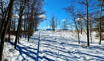 28 W Shore Rd, Babb, MT 59411