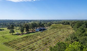 207 Wolf Creek Dr, Americus, GA 31719