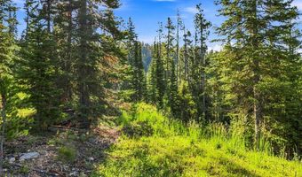 40 Swift Bear, Big Sky, MT 59716