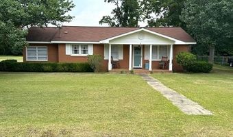 225 Cone St, Ailey, GA 30410