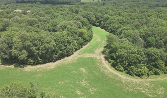 Hwy 1591, Bardwell, KY 42023