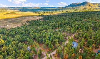 7 2190, Alpine, AZ 85920