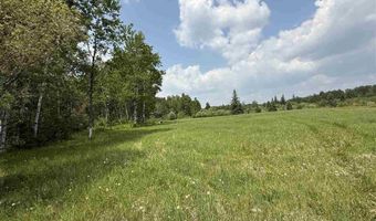 TBD Samuelson Road-Sec22, Angora, MN 55703