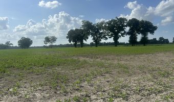 Oscar Rivette Road lot Tract 4, Arnaudville, LA 70512