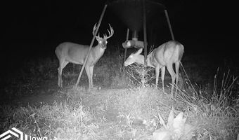 560 Th Ave, Albia, IA 52531