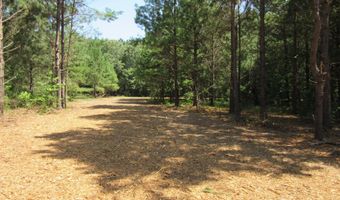6 1 Acres Frazier Rd, Bailey, NC 27807