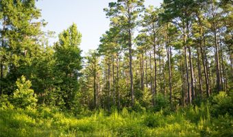 CARPENTER ROAD, Bastrop, LA 71220