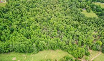 687 Gidsville Rd, Amherst, VA 24521