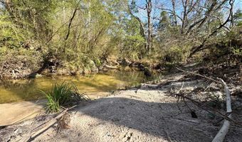 000 Mt Pleasant Ln SE, Bogue Chitto, MS 39629