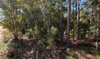 Lot 10 16th Ave, Bell, FL 32619
