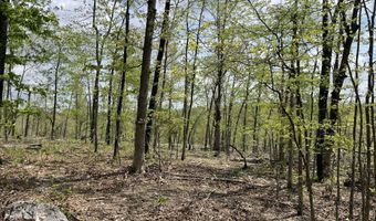 State Hwy N Tract G, Ava, MO 65608