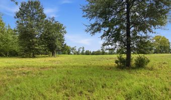 115355 115353 CR 2501, Alto, TX 75925