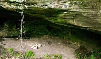 29 Left Fork Bear Track Rd, Beattyville, KY 41311