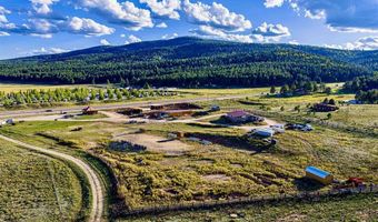 27502 US Highway 64 Roadrunner Tours, Angel Fire, NM 87710